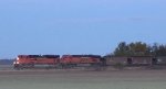 BNSF C-NAMPCT